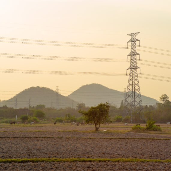 nktl-rajasthan-haryana